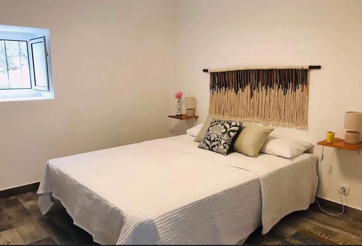 ポルタレグレCasa 1-Quinta Dos Penedosアパートメント エクステリア 写真
