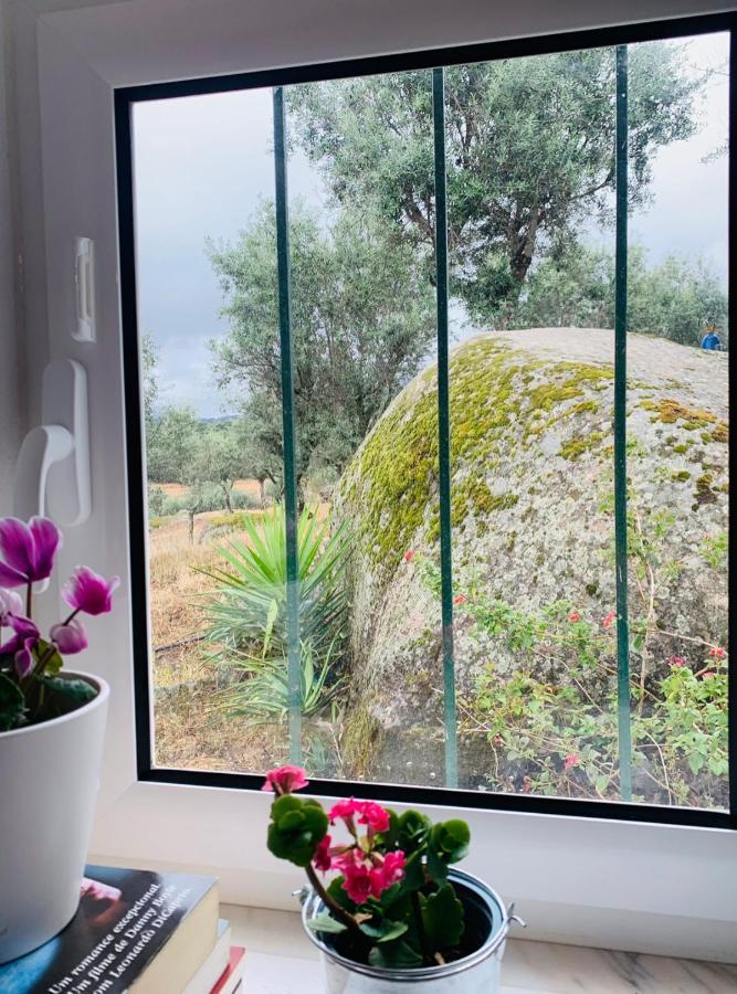 ポルタレグレCasa 1-Quinta Dos Penedosアパートメント エクステリア 写真
