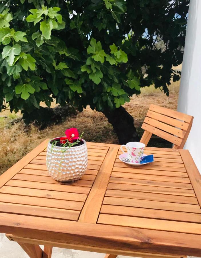 ポルタレグレCasa 1-Quinta Dos Penedosアパートメント エクステリア 写真