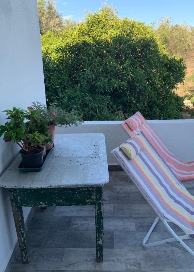 ポルタレグレCasa 1-Quinta Dos Penedosアパートメント エクステリア 写真