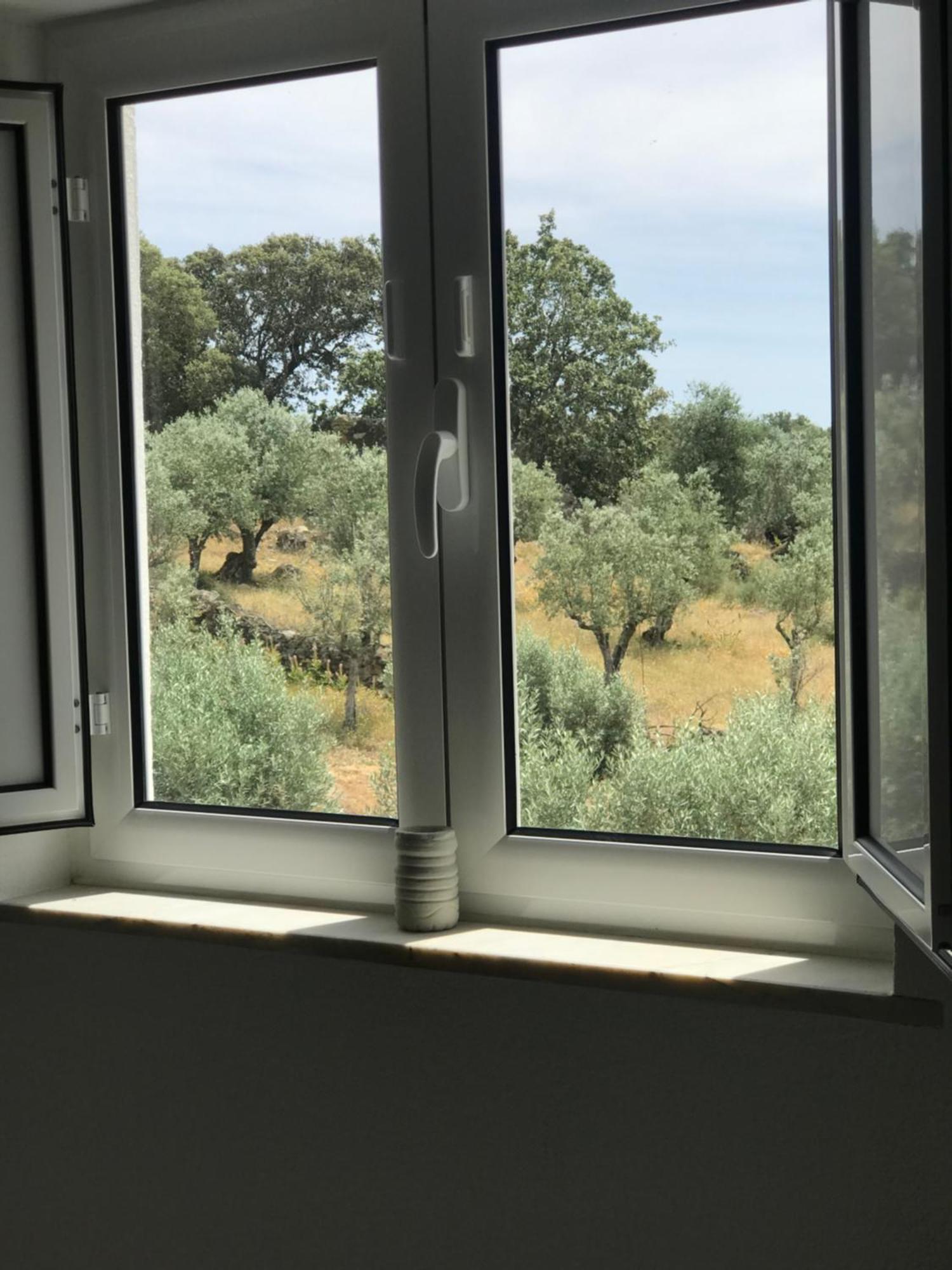 ポルタレグレCasa 1-Quinta Dos Penedosアパートメント エクステリア 写真